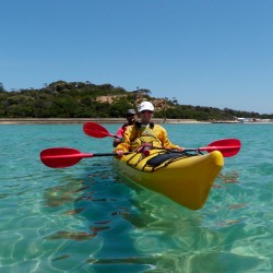 Kayaking Palm Cove, Queensland
