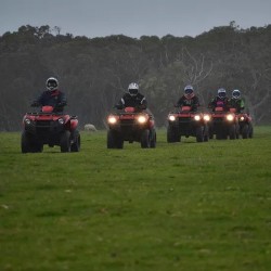 Quad Biking Medowie, New South Wales