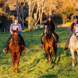 Horse Riding Australia