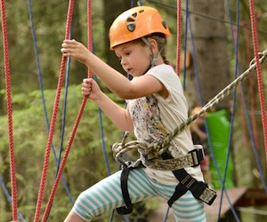 High Ropes Course St Ives Chase, New South Wales