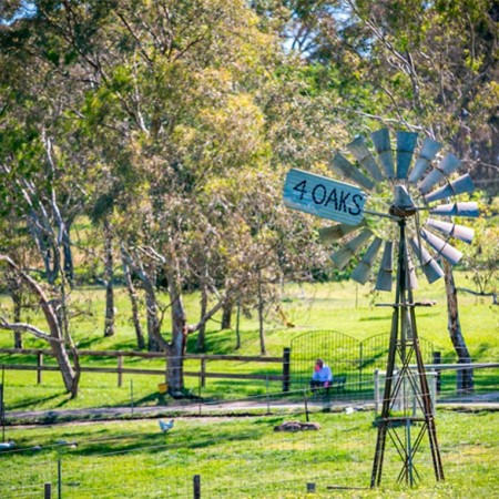 Horse Riding Four Oaks Farm, 0