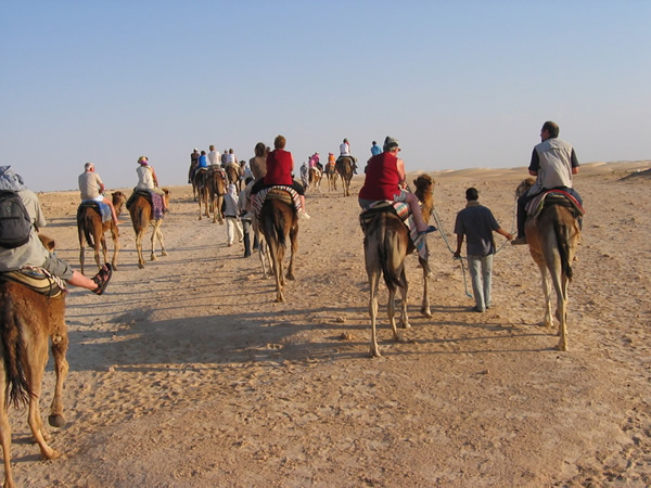 Camel Trekking Birthday Party